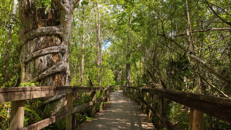 Urlaub in South West Florida